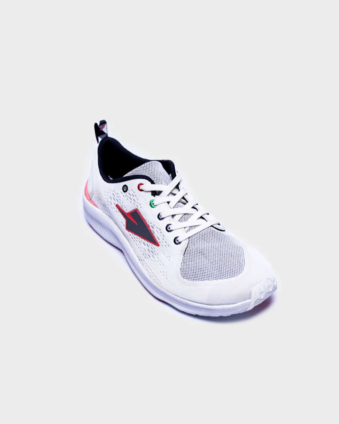 sec.jpg Iten Secretary Bird - Image 1